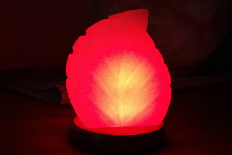 Leaf Shaped Salt Lamp Handmade Looks stunning