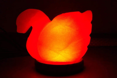 Animal Shaped Lamp