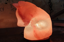 Load image into Gallery viewer, Horse Himalayan salt lamp
