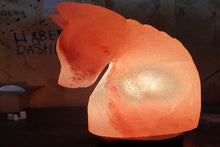 Load image into Gallery viewer, Horse Himalayan salt lamp