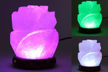 Load image into Gallery viewer, Himalayan Salt Lamp Usb Rose
