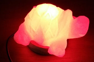 Turtle Salt lamp