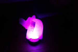 Elephant Salt Lamp