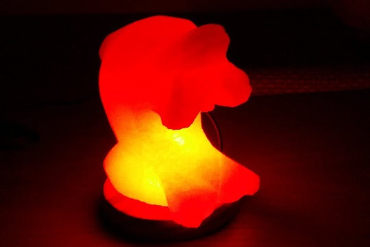 Dolphin Himalayan salt lamp