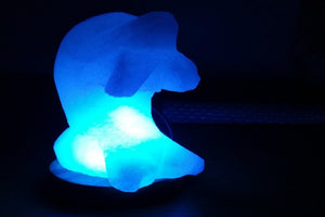 Dolphin Himalayan salt lamp