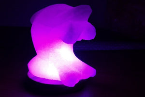 Dolphin Himalayn salt lamp