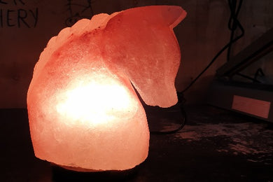 Horse Himalayan salt lamp