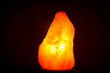 Load image into Gallery viewer, Salt floor lamp 15-20kg
