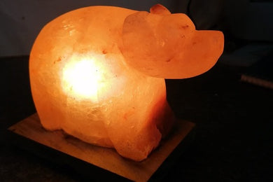 Dog Himalayan salt lamp