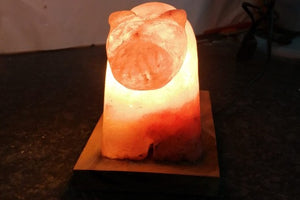 Dog shape Himalayan salt lamp