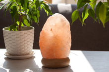 Load image into Gallery viewer, Miniature Himalayan salt lamp
