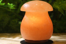 Load image into Gallery viewer, Mushroom Himalayan salt lamp
