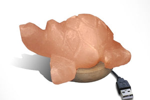 Turtle Himalayan salt lamps